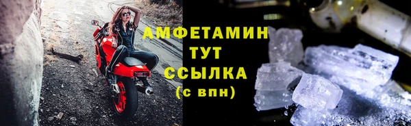 ECSTASY Алзамай