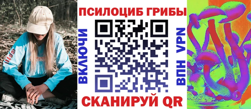 дарнет шоп  Иноземцево  Галлюциногенные грибы мухоморы 